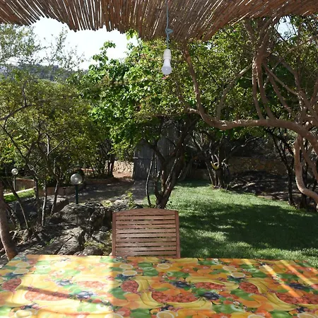 Juniper Santa Maria Navarrese