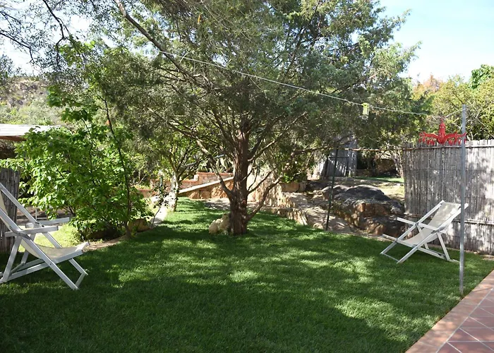 Juniper Santa Maria Navarrese