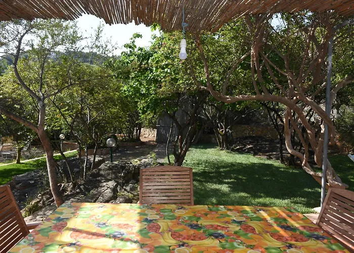 Juniper Santa Maria Navarrese